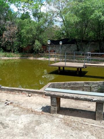 Comprar Rural / Ch&aacute;cara em S&atilde;o Jos&eacute; do Rio Preto R$ 950.000,00 - Foto 32