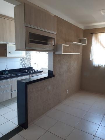 Apartamento / Padr&atilde;o em S&atilde;o Jos&eacute; do Rio Preto 