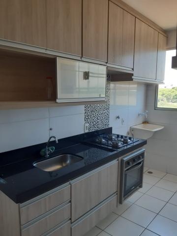 Alugar Apartamento / Padr&atilde;o em S&atilde;o Jos&eacute; do Rio Preto R$ 700,00 - Foto 3