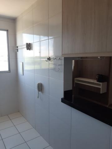 Alugar Apartamento / Padr&atilde;o em S&atilde;o Jos&eacute; do Rio Preto R$ 700,00 - Foto 4