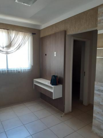 Alugar Apartamento / Padr&atilde;o em S&atilde;o Jos&eacute; do Rio Preto R$ 700,00 - Foto 5