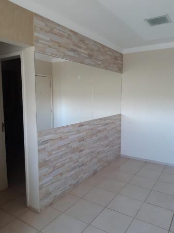 Alugar Apartamento / Padr&atilde;o em S&atilde;o Jos&eacute; do Rio Preto R$ 700,00 - Foto 6