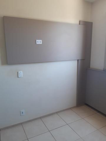 Alugar Apartamento / Padr&atilde;o em S&atilde;o Jos&eacute; do Rio Preto R$ 700,00 - Foto 9