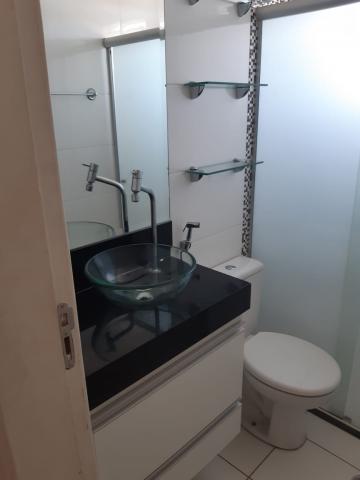 Alugar Apartamento / Padr&atilde;o em S&atilde;o Jos&eacute; do Rio Preto R$ 700,00 - Foto 10