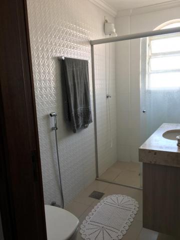Alugar Apartamento / Padr&atilde;o em S&atilde;o Jos&eacute; do Rio Preto R$ 1.200,00 - Foto 13