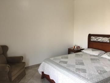 Alugar Apartamento / Padr&atilde;o em S&atilde;o Jos&eacute; do Rio Preto R$ 1.200,00 - Foto 8