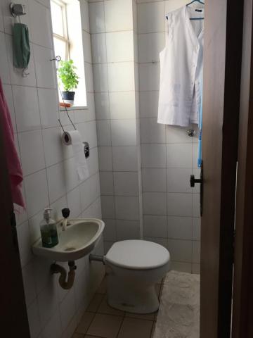 Alugar Apartamento / Padr&atilde;o em S&atilde;o Jos&eacute; do Rio Preto R$ 1.200,00 - Foto 16