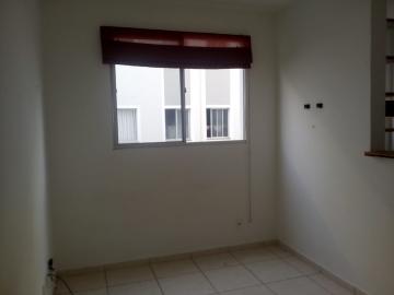 Alugar Apartamento / Padr&atilde;o em S&atilde;o Jos&eacute; do Rio Preto. apenas R$ 170.000,00