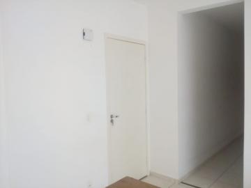 Comprar Apartamento / Padr&atilde;o em S&atilde;o Jos&eacute; do Rio Preto R$ 170.000,00 - Foto 8
