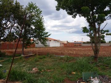 Comprar Terreno / &Aacute;rea em S&atilde;o Jos&eacute; do Rio Preto R$ 5.000.000,00 - Foto 5