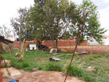 Comprar Terreno / &Aacute;rea em S&atilde;o Jos&eacute; do Rio Preto R$ 5.000.000,00 - Foto 6