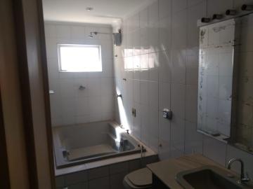 Alugar Apartamento / Padr&atilde;o em S&atilde;o Jos&eacute; do Rio Preto R$ 1.800,00 - Foto 8