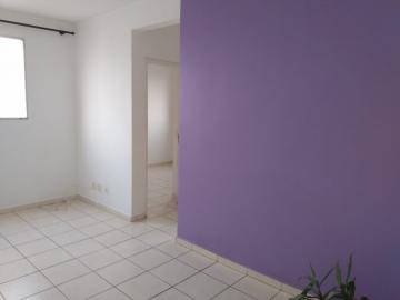 Alugar Apartamento / Padr&atilde;o em S&atilde;o Jos&eacute; do Rio Preto. apenas R$ 550,00