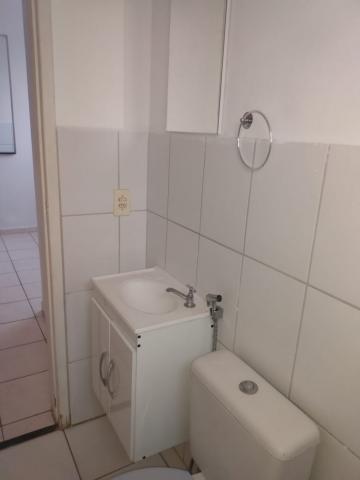 Alugar Apartamento / Padr&atilde;o em S&atilde;o Jos&eacute; do Rio Preto R$ 550,00 - Foto 2