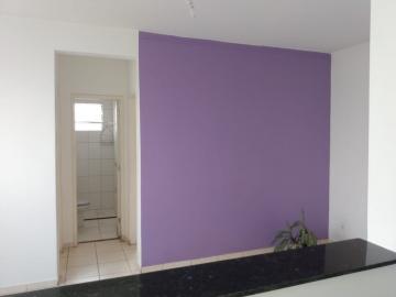 Alugar Apartamento / Padr&atilde;o em S&atilde;o Jos&eacute; do Rio Preto R$ 550,00 - Foto 3