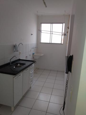 Alugar Apartamento / Padr&atilde;o em S&atilde;o Jos&eacute; do Rio Preto R$ 550,00 - Foto 7