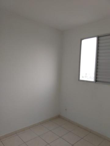 Alugar Apartamento / Padr&atilde;o em S&atilde;o Jos&eacute; do Rio Preto R$ 550,00 - Foto 10