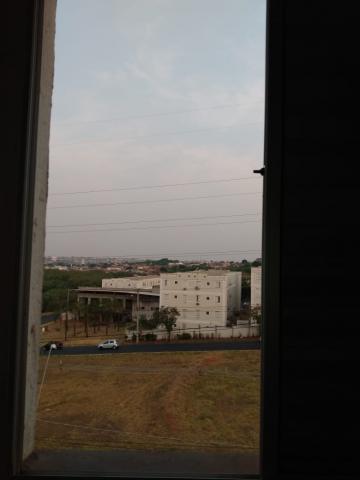 Alugar Apartamento / Padr&atilde;o em S&atilde;o Jos&eacute; do Rio Preto R$ 550,00 - Foto 13