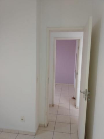 Alugar Apartamento / Padr&atilde;o em S&atilde;o Jos&eacute; do Rio Preto R$ 550,00 - Foto 14