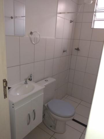 Alugar Apartamento / Padr&atilde;o em S&atilde;o Jos&eacute; do Rio Preto R$ 550,00 - Foto 15