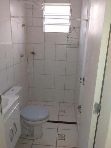 Alugar Apartamento / Padr&atilde;o em S&atilde;o Jos&eacute; do Rio Preto R$ 550,00 - Foto 16