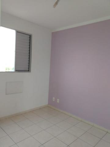 Alugar Apartamento / Padr&atilde;o em S&atilde;o Jos&eacute; do Rio Preto R$ 550,00 - Foto 18