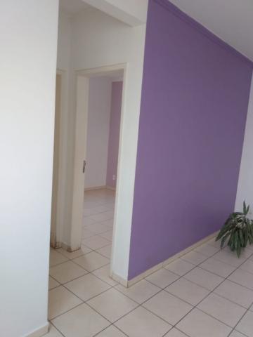 Alugar Apartamento / Padr&atilde;o em S&atilde;o Jos&eacute; do Rio Preto R$ 550,00 - Foto 19
