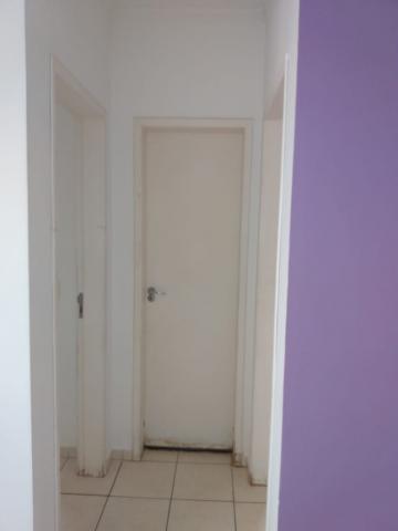 Alugar Apartamento / Padr&atilde;o em S&atilde;o Jos&eacute; do Rio Preto R$ 550,00 - Foto 21