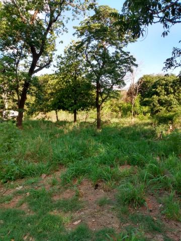 Comprar Rural / Ch&aacute;cara em S&atilde;o Jos&eacute; do Rio Preto R$ 700.000,00 - Foto 2
