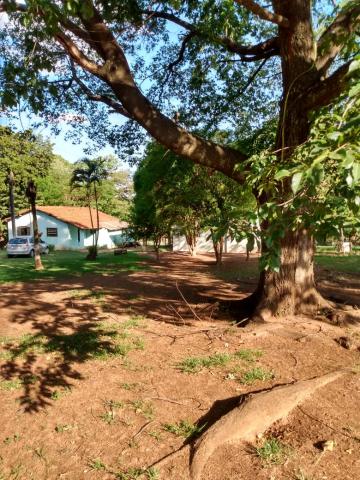 Comprar Rural / Ch&aacute;cara em S&atilde;o Jos&eacute; do Rio Preto R$ 700.000,00 - Foto 5
