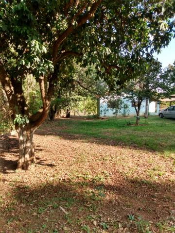 Comprar Rural / Ch&aacute;cara em S&atilde;o Jos&eacute; do Rio Preto R$ 700.000,00 - Foto 8