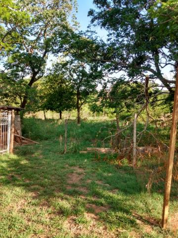 Comprar Rural / Ch&aacute;cara em S&atilde;o Jos&eacute; do Rio Preto R$ 700.000,00 - Foto 9