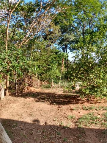 Comprar Rural / Ch&aacute;cara em S&atilde;o Jos&eacute; do Rio Preto R$ 700.000,00 - Foto 11
