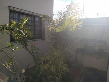 Alugar Casa / Padr&atilde;o em S&atilde;o Jos&eacute; do Rio Preto R$ 1.100,00 - Foto 17