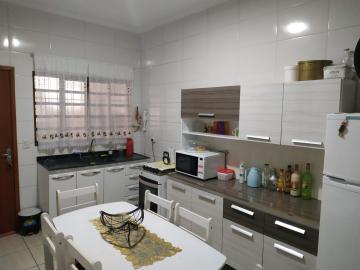 Alugar Casa / Padr&atilde;o em S&atilde;o Jos&eacute; do Rio Preto R$ 1.100,00 - Foto 8