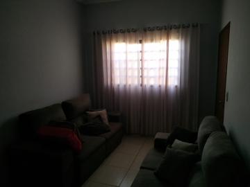 Alugar Casa / Padr&atilde;o em S&atilde;o Jos&eacute; do Rio Preto R$ 1.100,00 - Foto 10