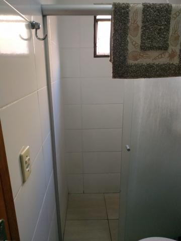Alugar Casa / Padr&atilde;o em S&atilde;o Jos&eacute; do Rio Preto R$ 1.100,00 - Foto 11