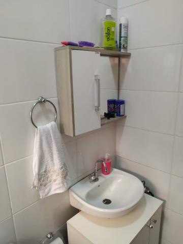 Alugar Casa / Padr&atilde;o em S&atilde;o Jos&eacute; do Rio Preto R$ 1.100,00 - Foto 12