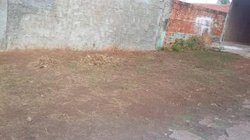 Comprar Casa / Padr&atilde;o em S&atilde;o Jos&eacute; do Rio Preto R$ 580.000,00 - Foto 3