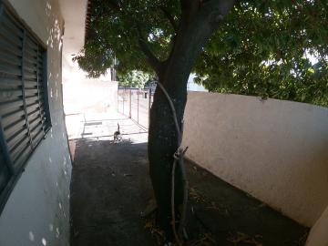 Alugar Casa / Padr&atilde;o em S&atilde;o Jos&eacute; do Rio Preto R$ 750,00 - Foto 5