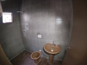 Alugar Casa / Padr&atilde;o em S&atilde;o Jos&eacute; do Rio Preto R$ 750,00 - Foto 10