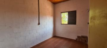 Alugar Casa / Padr&atilde;o em S&atilde;o Jos&eacute; do Rio Preto R$ 550,00 - Foto 6