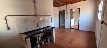 Alugar Casa / Padr&atilde;o em S&atilde;o Jos&eacute; do Rio Preto R$ 550,00 - Foto 5