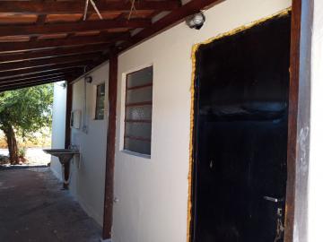 Alugar Casa / Padr&atilde;o em S&atilde;o Jos&eacute; do Rio Preto R$ 550,00 - Foto 7