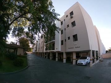 Alugar Apartamento / Padr&atilde;o em S&atilde;o Jos&eacute; do Rio Preto. apenas R$ 750,00