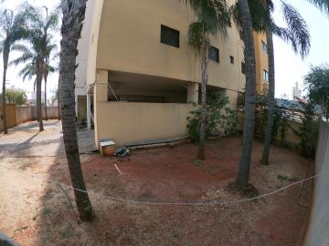 Alugar Apartamento / Padr&atilde;o em S&atilde;o Jos&eacute; do Rio Preto R$ 1.200,00 - Foto 22