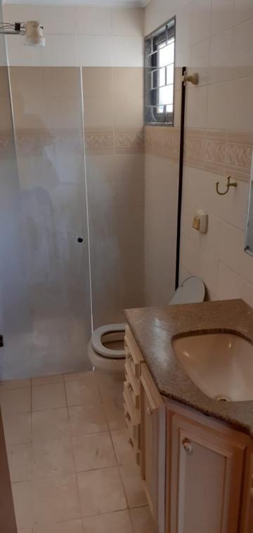 Alugar Apartamento / Padr&atilde;o em S&atilde;o Jos&eacute; do Rio Preto R$ 1.200,00 - Foto 10