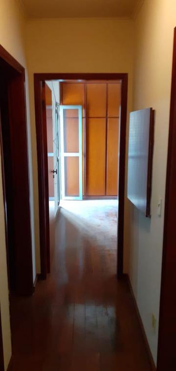Alugar Apartamento / Padr&atilde;o em S&atilde;o Jos&eacute; do Rio Preto R$ 1.200,00 - Foto 7