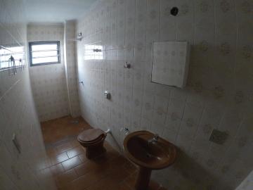 Alugar Apartamento / Padr&atilde;o em S&atilde;o Jos&eacute; do Rio Preto R$ 950,00 - Foto 15