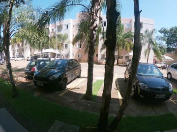 Alugar Apartamento / Padr&atilde;o em S&atilde;o Jos&eacute; do Rio Preto R$ 1.000,00 - Foto 13